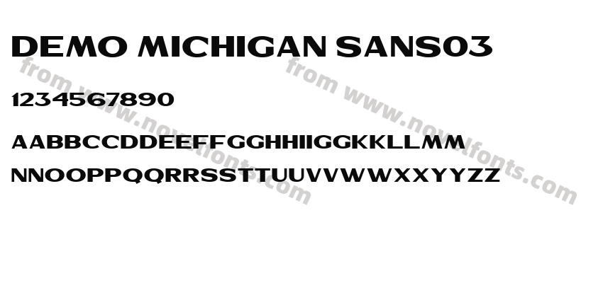 Demo Michigan Sans03Preview