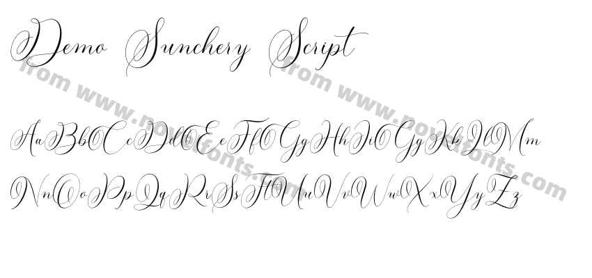 Demo Sunchery ScriptPreview
