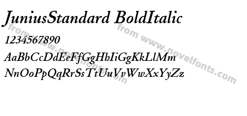 Junius Standard Bold ItalicPreview