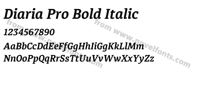 Diaria Pro Bold ItalicPreview