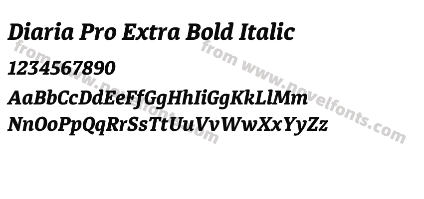Diaria Pro Extra Bold ItalicPreview