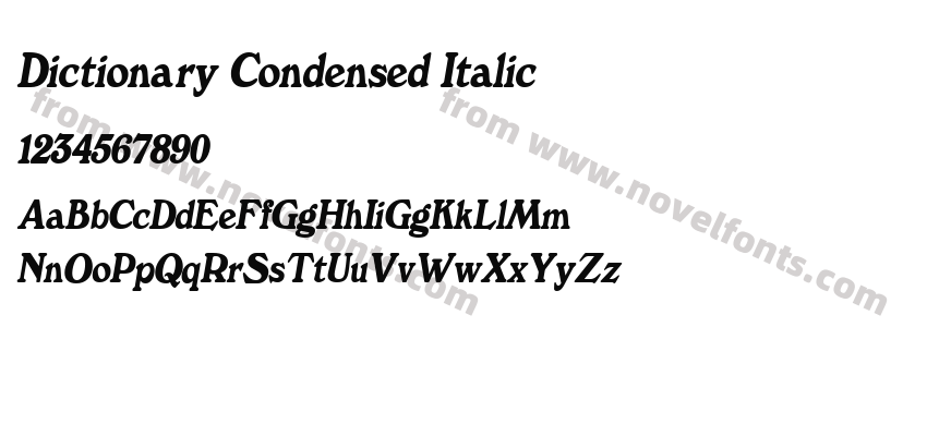 Dictionary Condensed ItalicPreview