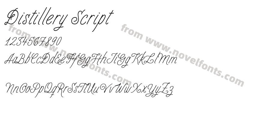 Distillery ScriptPreview