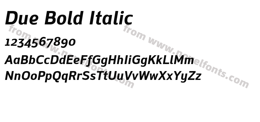 Due Bold ItalicPreview