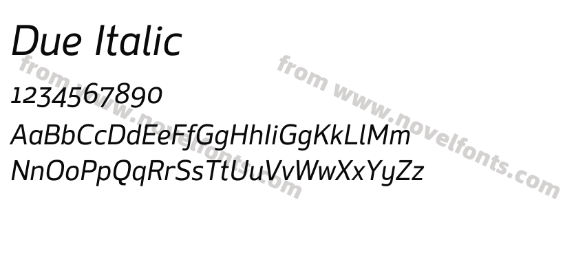 Due ItalicPreview