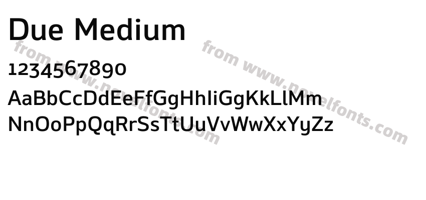 Due MediumPreview