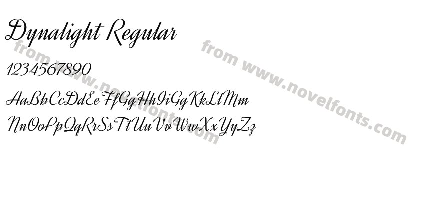 Dynalight RegularPreview