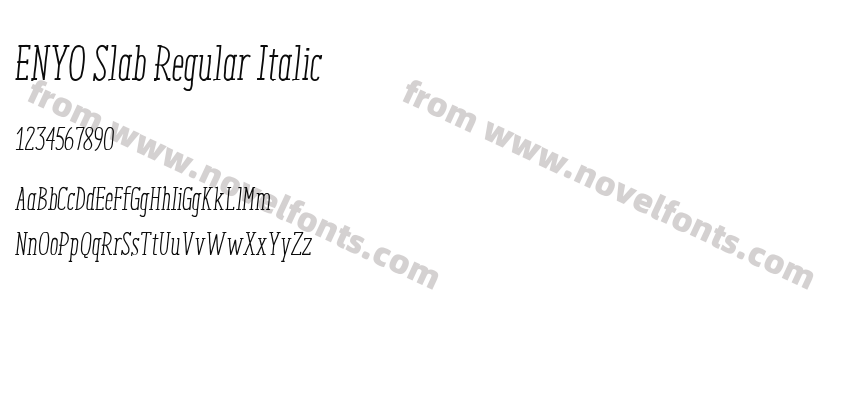 ENYO Slab Regular ItalicPreview