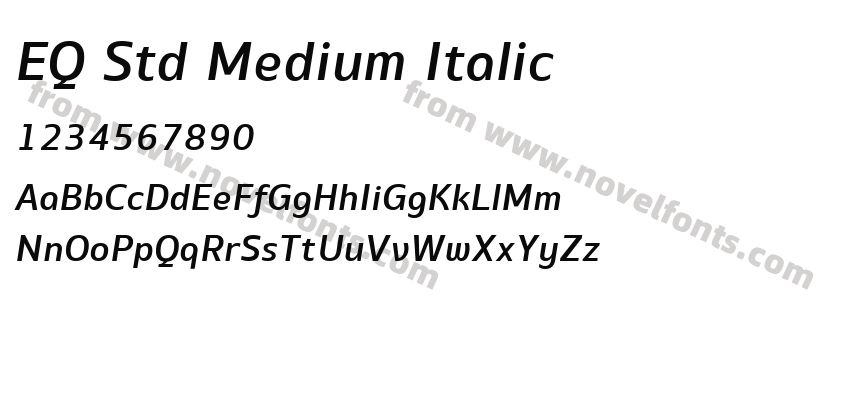 EQ Std Medium ItalicPreview