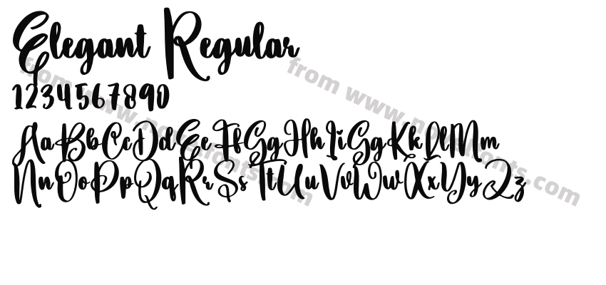 Elegant RegularPreview