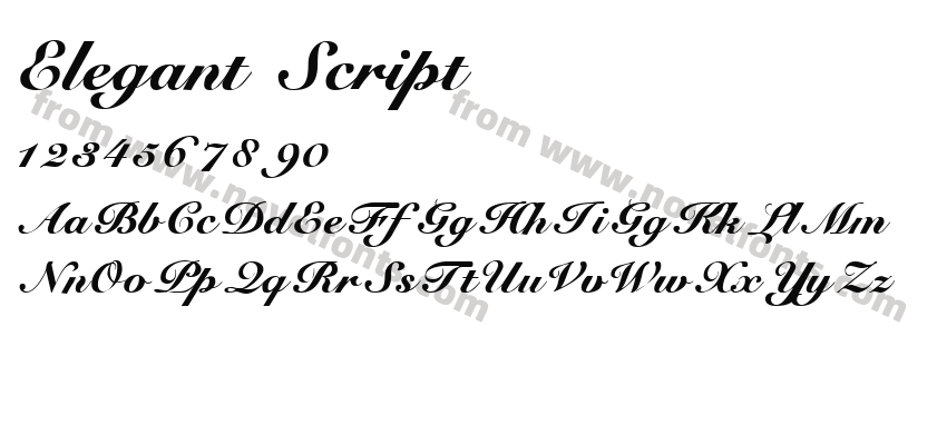 Elegant ScriptPreview