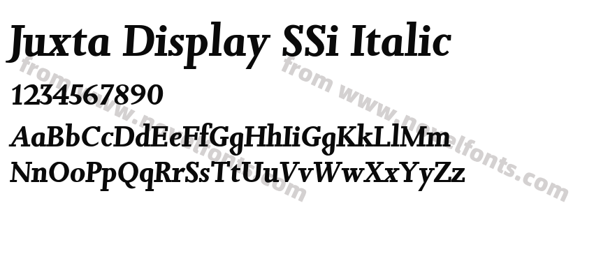 Juxta Display SSi ItalicPreview