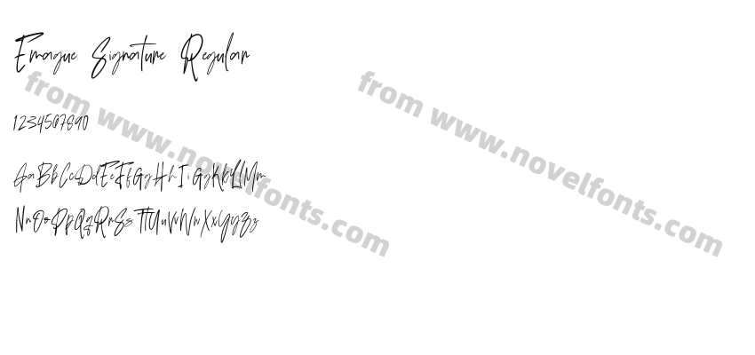 Emague Signature RegularPreview