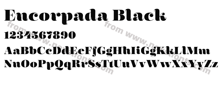 Encorpada BlackPreview