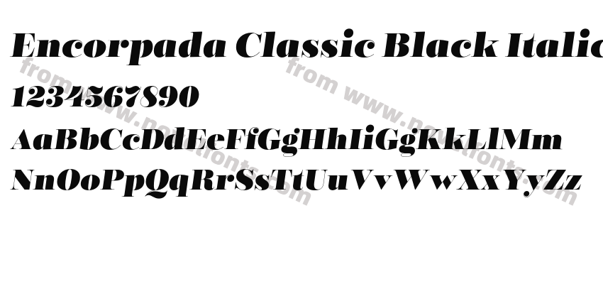 Encorpada Classic Black ItalicPreview