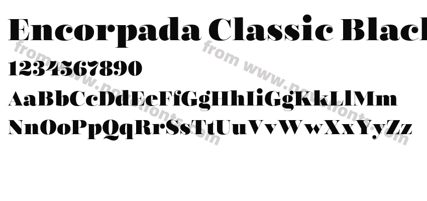 Encorpada Classic BlackPreview