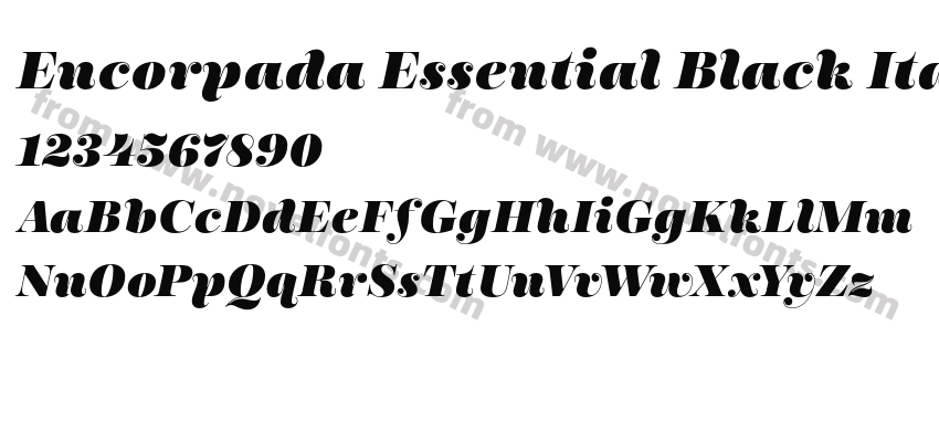 Encorpada Essential Black ItalicPreview