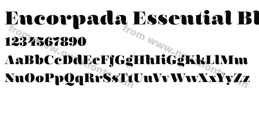 Encorpada Essential BlackPreview