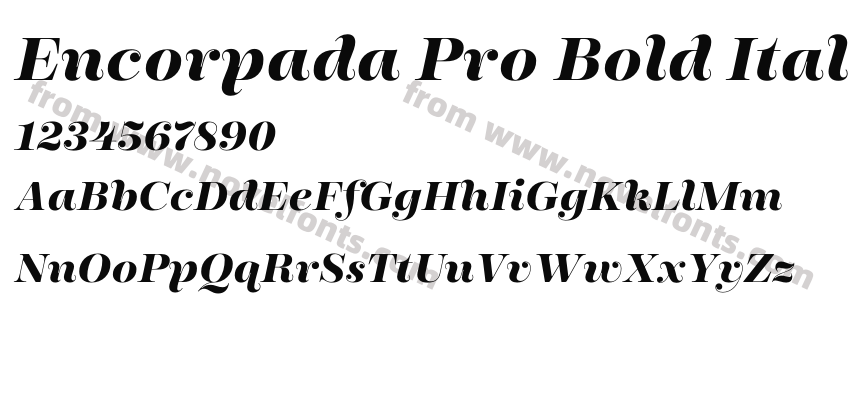Encorpada Pro Bold ItalicPreview