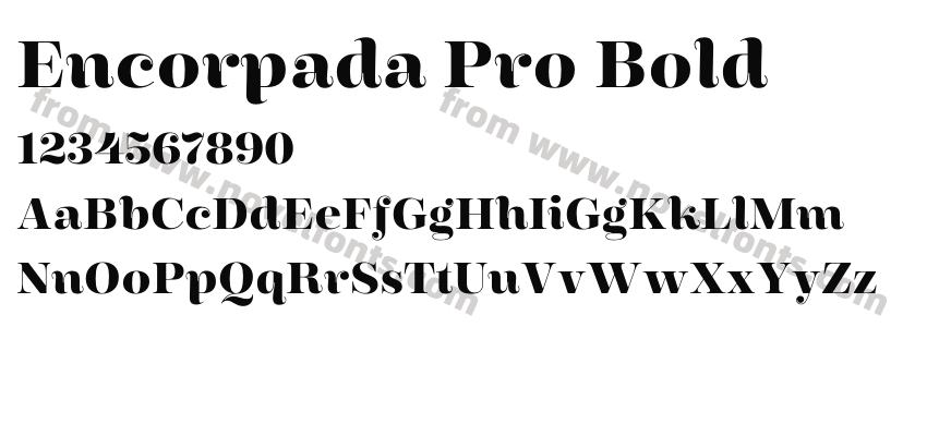 Encorpada Pro BoldPreview