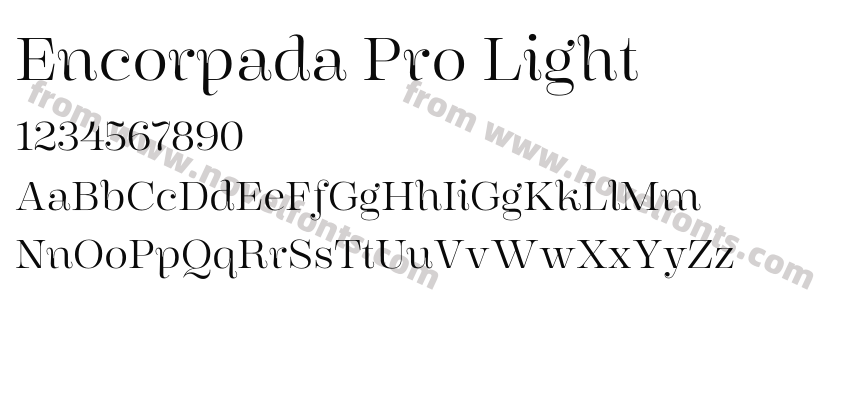 Encorpada Pro LightPreview