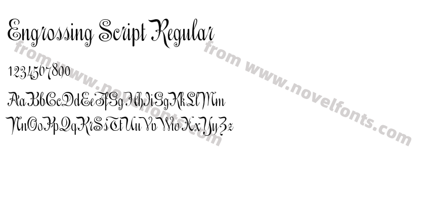 Engrossing Script RegularPreview