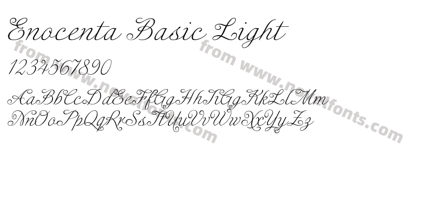 Enocenta Basic LightPreview