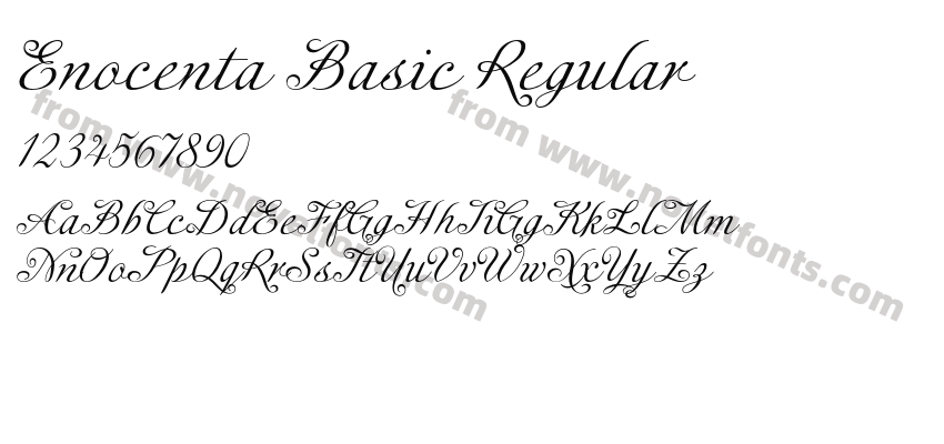 Enocenta Basic RegularPreview