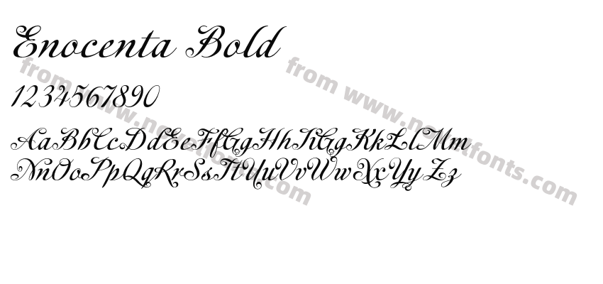 Enocenta BoldPreview