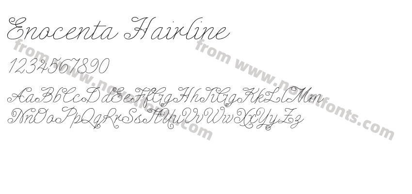 Enocenta HairlinePreview