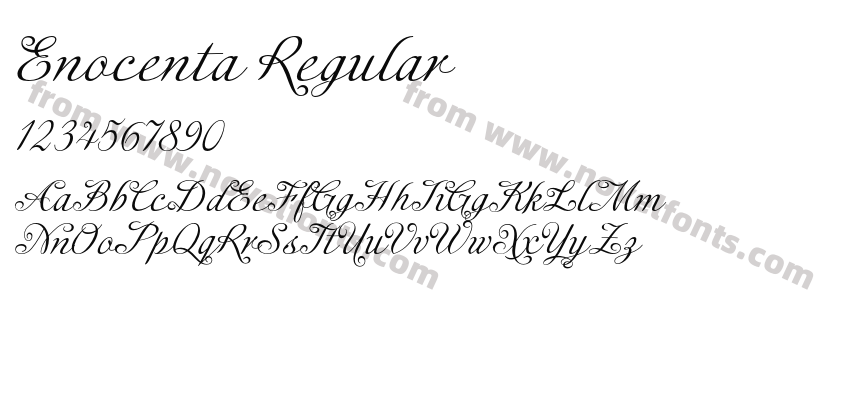 Enocenta RegularPreview