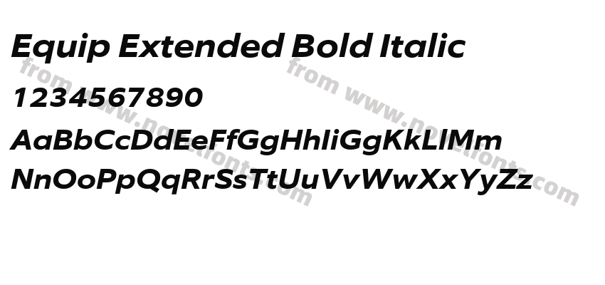 Equip Extended Bold ItalicPreview