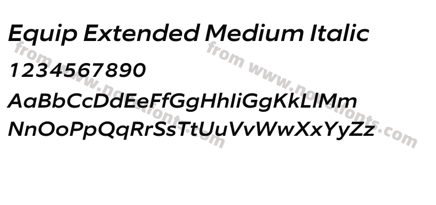 Equip Extended Medium ItalicPreview