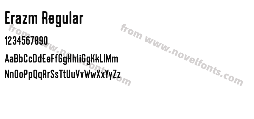 Erazm RegularPreview