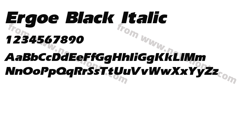 Ergoe Black ItalicPreview