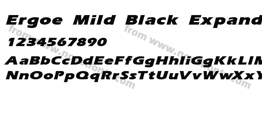 Ergoe Mild Black Expanded ItalicPreview