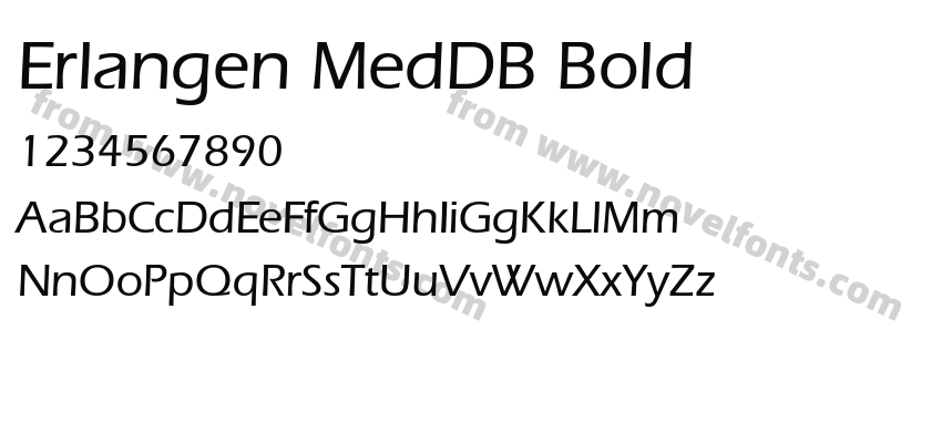 Erlangen MedDB BoldPreview