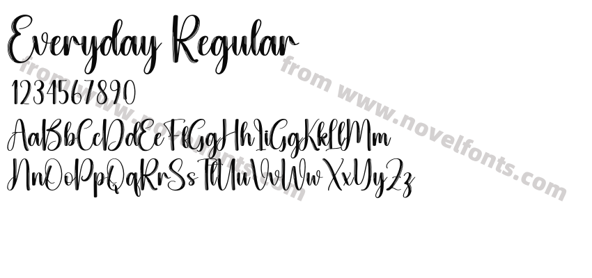Everyday RegularPreview