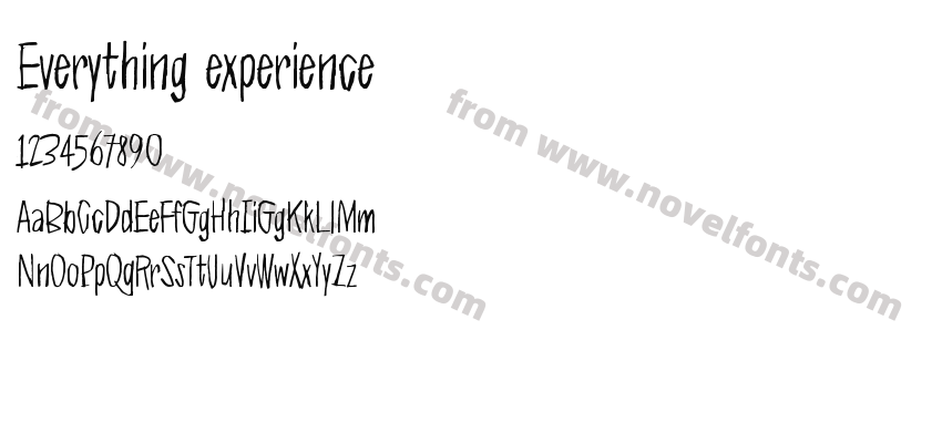 Everything experiencePreview