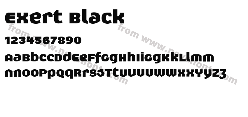 Exert BlackPreview
