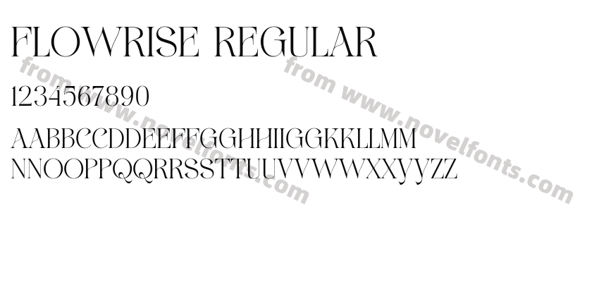FLOWRISE RegularPreview