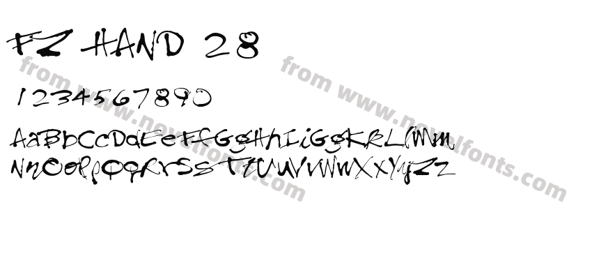 FZ HAND 28Preview