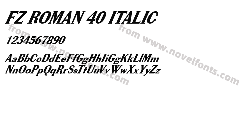 FZ ROMAN 40 ITALICPreview