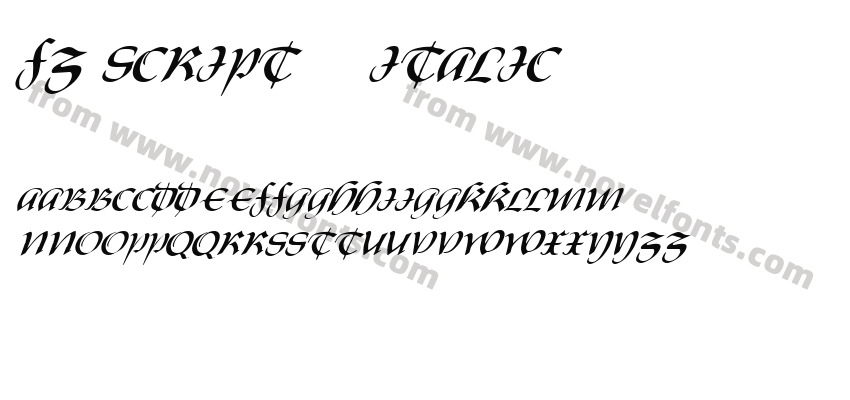 FZ SCRIPT 19 ITALICPreview