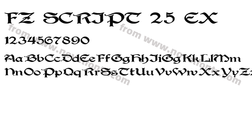 FZ SCRIPT 25 EXPreview