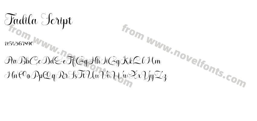 Fadila ScriptPreview
