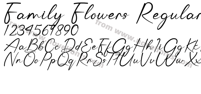 Family Flowers RegularPreview