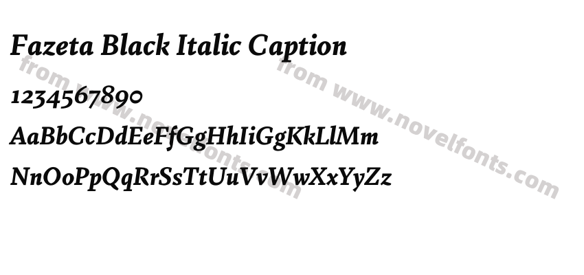 Fazeta Black Italic CaptionPreview