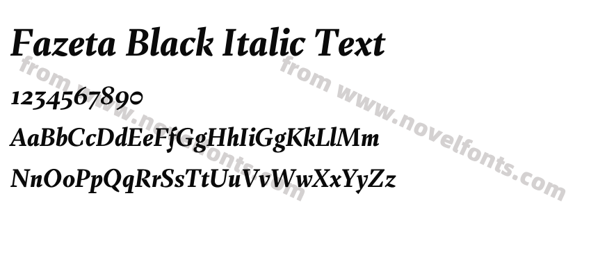 Fazeta Black Italic TextPreview