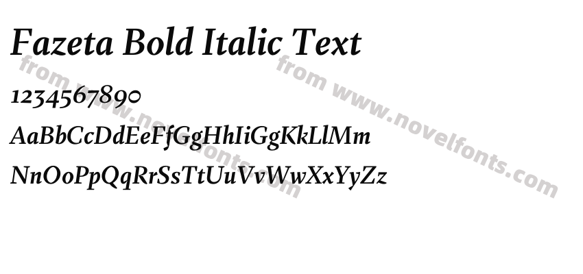 Fazeta Bold Italic TextPreview